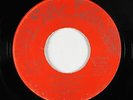 Rockabilly 45 - Bennie Hess - Wild Hog Hop - Show Land - mp3