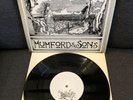Mumford and Sons Love Your Ground 10” Ltd EP Signed