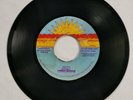METALFORCE - SOUTH // SOUTH VERSION [ SMILE SUN ]    [ AUG322 ]