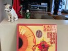 KATE BUSH The Kick Inside RARE  ORIGINAL 1978 PICTURE DISC UK IMPORT VINYL USA