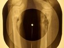 Elvis Presley - Little Egypt  X-RAY OF THE USSR X-RAY BONES RECORDING