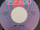 Northern Soul 45/ Lou Courtney 
