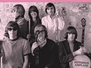Jefferson Airplane Surrealistic Pillow DCC Compact Classics LP LPZ-2033 #1159 NM