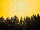New Music The Decemberists 