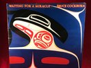 BRUCE COCKBURN Waiting For A Miracle 1987 UK Double Vinyl LP EXCELLENT CONDITION