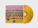 The Raincoats Self Titled 1979 Album YELLOW VINYL LP Record 40th Ann Remaster