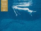 Undercurrent