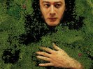 Alain Bashung - Fantaisie Militaire - Edition Limitée vinyle translucide