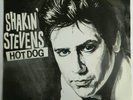 Shakin` Stevens   7