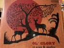 JJ Grey & Mofro Ol' Glory Sealed Vinyl 2 LP 180 Gram + Download Provogue Import
