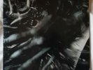 Scott Walker / Tilt limited edition vinyl lp.