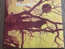 Wishbone Ash ‎– Pilgrimage Vinyl LP Rare 1973 UK Reissue Black Labels Near Mint