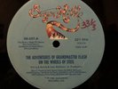 The Adventures Of Grandmaster Flash On The Wheels Of Steel 12” VG++