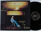 VIC CHESNUTT About To Choke PLR LP VG+ uk with lyric sheet insert  