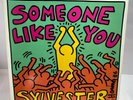 Vinyl 1986 Warner Bros Someone Like You   Sylvester 12