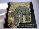 The Microphones - The Glow Pt. 2 X2 LP Vinyl + 2 Posters New