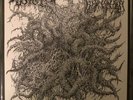 Spectral Voice / Blood Incantation Split 7 Morbid Angel Immolation Necrot Evoken