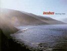 Incubus - Morning View 180-GM Vinyl 2xLP NEW SEALED GATEFOLD 2013 Rare