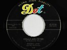 Northern Soul R&B 45 - Ronnie Love - Chills And Fever - Dot - VG++ mp3