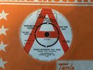 RARE MOTOWN DEMO - THE MARVELETTES - DANGER HEARTBREAK DEAD AHEAD - TMG535. 1965