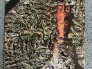 Siouxsie And The Banshees - Juju LP PVC 8903 USA 1981 Vinyl Record