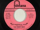 Northern Soul Girl Group 45 - Honey Bees - One Wonderful Night - Fontana - mp3