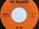 VILLAGERS Cry On/Wishes and Memories OBSCURE NORTHERN/SWEET SOUL 45 *hear*