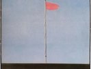 Wire ‎– Pink Flag : Pinkflag ‎– PF11LP SEALED VINYL LP REISSUE ROCK