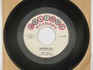 DICK DALE MISERLOU Vinyl Deltone Records 45 RPM 7