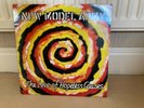 new model army vinyl album the love of hopeless causes