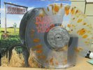 BLINK 182 CLEAR SPLATTER VINYL RECORD 