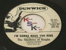 SHADOWS OF KNIGHT I'm Gonna Make You Mine / Make You Sorry DJ DUNWICH 141 Promo