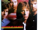 THE GRASS ROOTS - Powers of the Night Vinyl LP MCA -5331 1982 PROMO STAMP