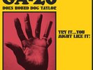 GA-20 - Does Hound Dog Taylor [New Vinyl LP]