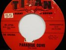The Surfmen - Paradise Cove / Ghost Hop 45 vinyl Garage Surf Instrumental