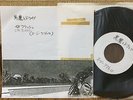 Suzi Quatro - Devil Gate Drive / 48 crash  JAPAN 45 TEST PRESS PROMO 7