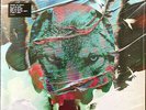 Stereophonics - Scream Above the Sounds (LP, Album)