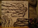 SACCHARINE TRUST The Great One Is Dead 2xLP/2001 US/Avant-Jazz-Punk-Rock