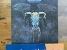 EAGLES ONE OF THESE NIGHTS, Near Mint 1st press (Lying Eyes) LISTEN