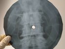 DOORS NOT TO TOUCH THE EARTH X-Ray USSR Record Roentgen Ribs Bone Music Vinyl