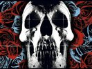 Deftones Self Titled LIMITED Vinyl Record Rose Skull IN HAND Brand New In Packag