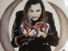 A Perfect Circle Eat the Elephant (Vinyl, 2018)  limited edition WHITE VINYL