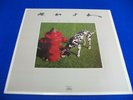 RUSH - Signals - 1982 Rock LP w/Org Lyric Sleeve  EX VINYL Record