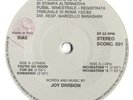JOY DIVISION - STAMPA ALTERNATIVA BOOK 'JOY' WITH RARE SINGLE - FREE UK POST