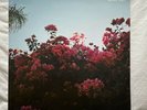 LANY - Make Out (2015, Polydor, 4774626) Used Vinyl, 12