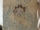 PORTUGAL THE MAN Vinyl LP It's Complicated Being A Wizard CLEAR New/Unplayed