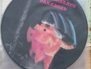 Black sabbath paranoid  picture disc nep6003  ozzy osbourne toni iommi