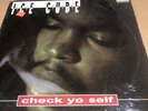 ice cube check your self, 12” single record