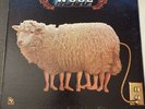 Wool Self Titled Gatefold LP ABC Records ABCS-676 VG+ See ??