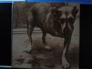 Alice In Chains Self Titled 